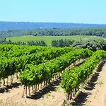 Amazing In